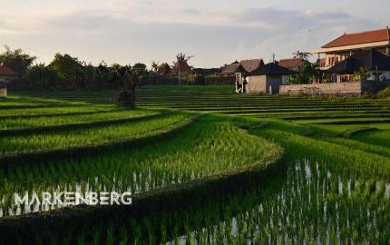 Raj na zemi - Moderná vila na Bali s vlastným bazénom a tropickou záhradou